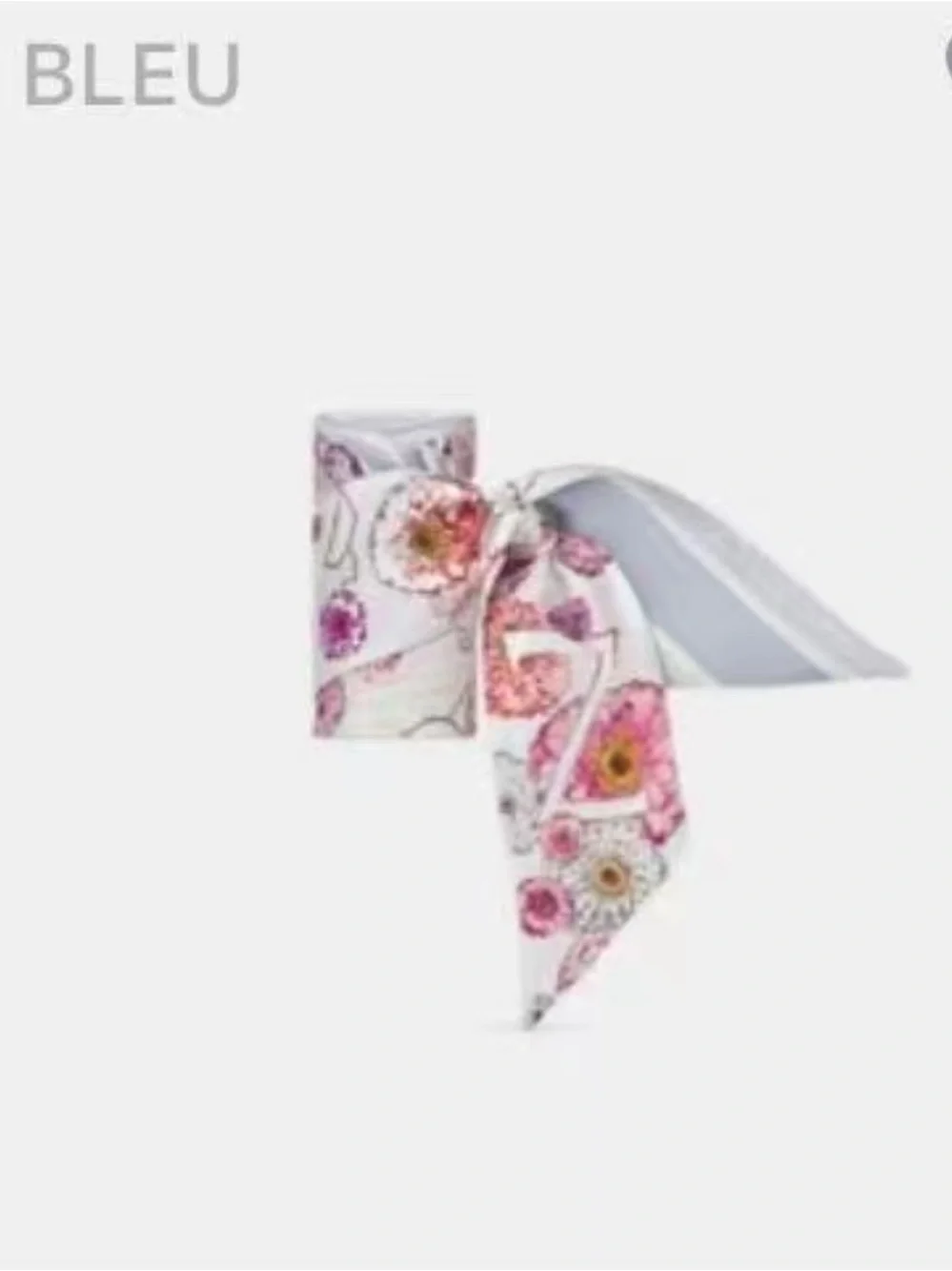Dior Jardin D’hiver Mitzah Silk Scarf